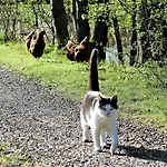 Rodkaergard Nocleg ze śniadaniem Kerteminde