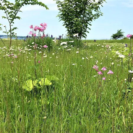 Rodkaergard Отель типа 