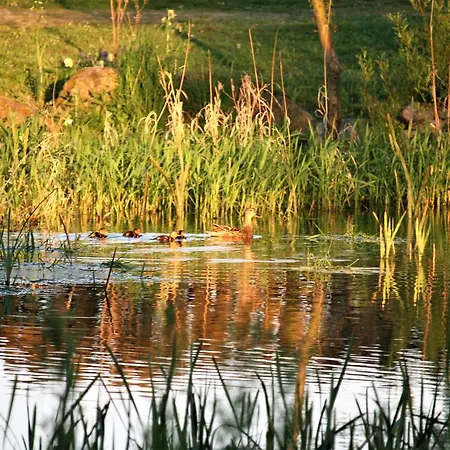 Rødkærgård Kerteminde