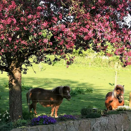Bed & Breakfast Rodkaergard Kerteminde