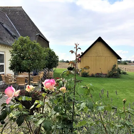 Bed & Breakfast Rodkaergard Kerteminde
