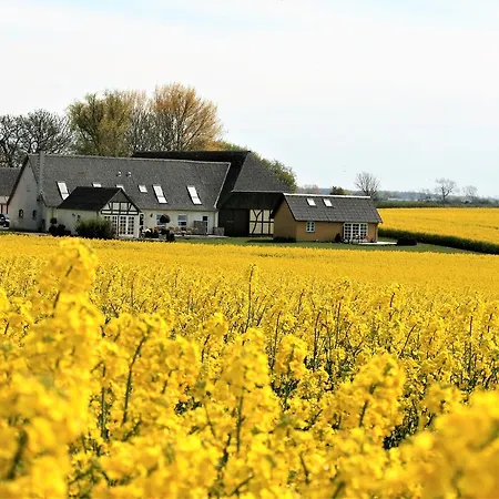 Rodkaergard Bed & Breakfast Kerteminde