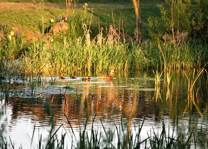 Rodkaergard Kerteminde