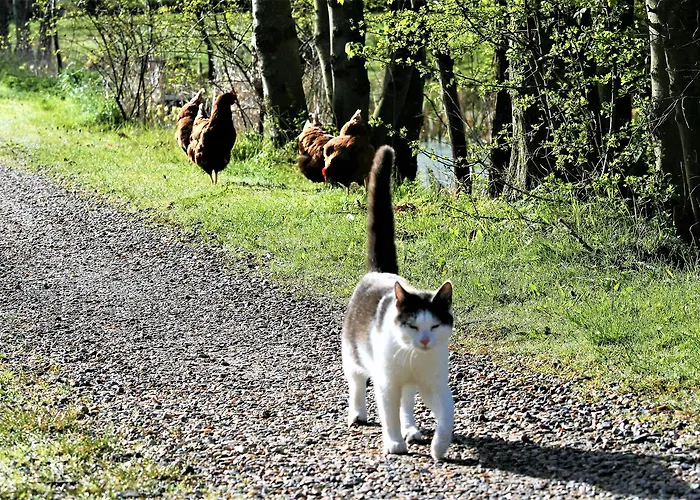 Rodkaergard Frühstückspension Kerteminde