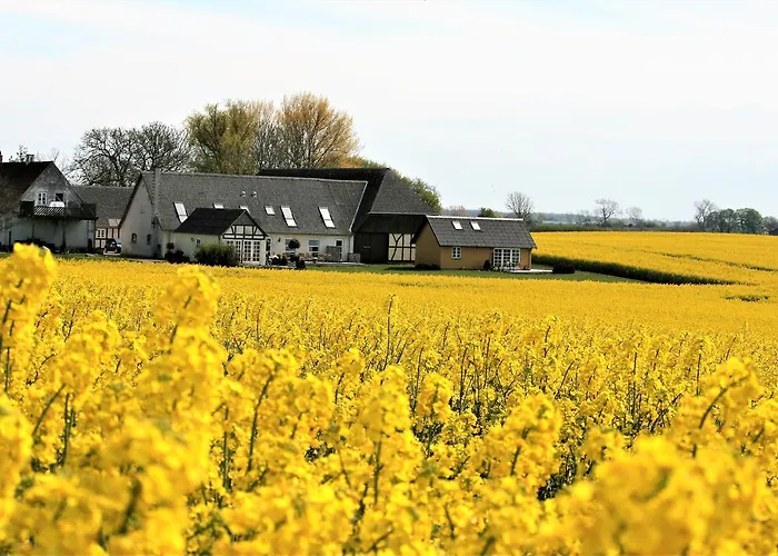 Rodkaergard Frühstückspension Kerteminde