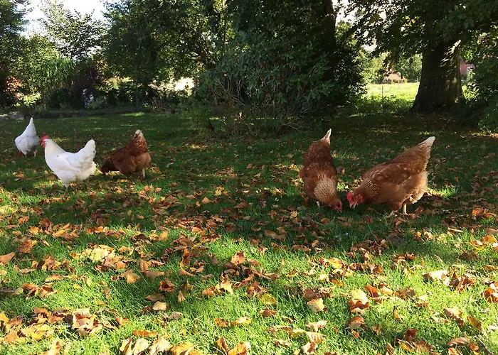 Frühstückspension Rodkaergard Kerteminde